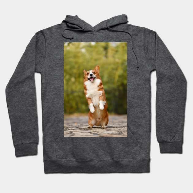 The happy dog Hoodie by alexposters